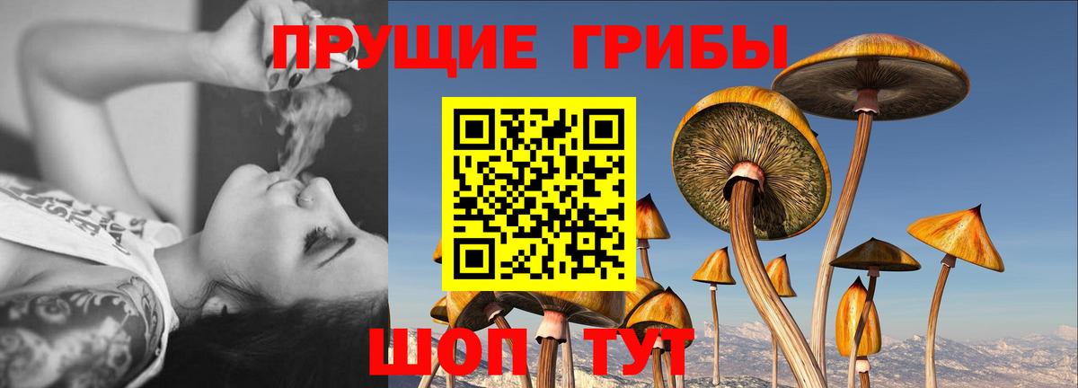 сколько стоит  Вход с VPN  Уварово  Псилоцибиновые грибы Psilocybine cubensis  Галлюциногенные грибы Cubensis 